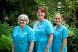 Prophylaxe_Team